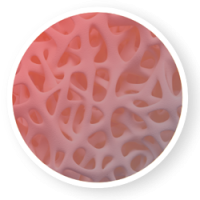 Bone-Strength-Daily-Whey-Img-200x200