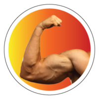muscle-building-200x200 muscle-building-200x200